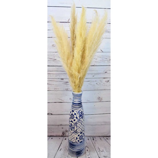 Dried Ornamental Pampas Grass - Feather Stem