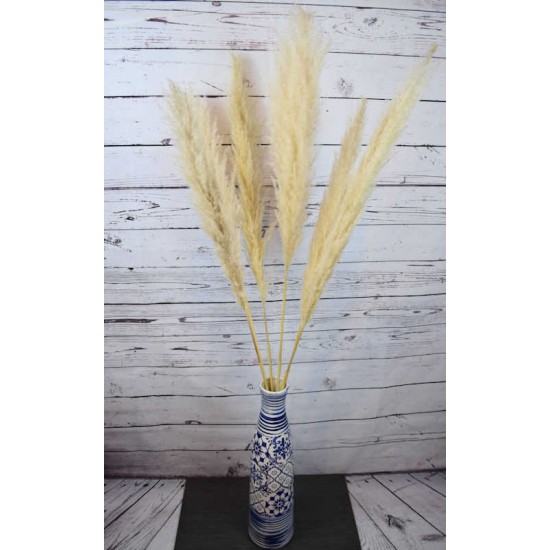 Dried Ornamental Pampas Grass - Feather Stem
