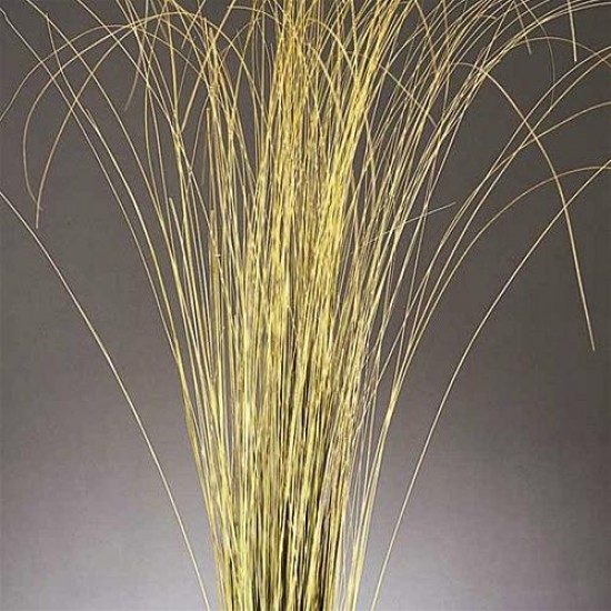 Fountain Grass - Dried Fountain Grasses Fountain Grass - Dried Fountain Grasses