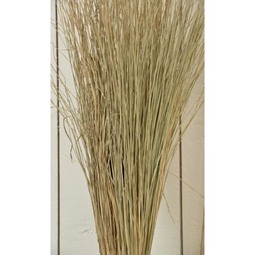 Dried Grasses Dry Grass for Sale Dehydrated Grass