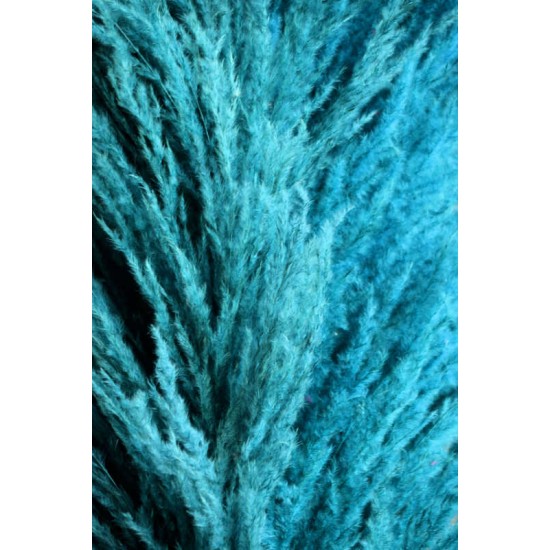 Dried Pampas Grass - Blue Color