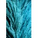 Dried Pampas Grass - Blue Color