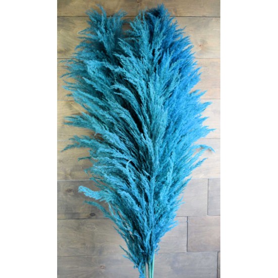 Dried Pampas Grass - Blue Color