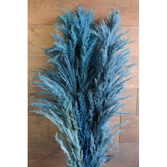 Dried Pampas Grass - Blue Color