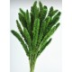 Dried Seteria Grass - Setaria Grass - Colors Dried Seteria Grass - Setaria Grass - Colors