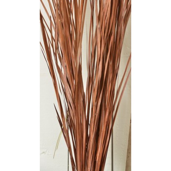 Ornamental Wild Grass (Dried)