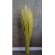Dried Dune Grass Centerpiece Dried Dune Grass Centerpiece