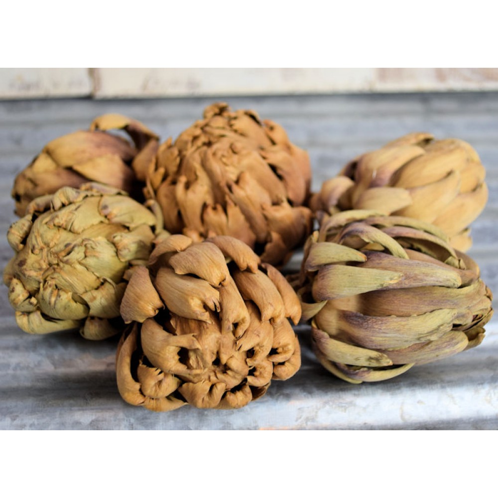 Dried Artichokes | Artichoke Decor | Dried Thistle