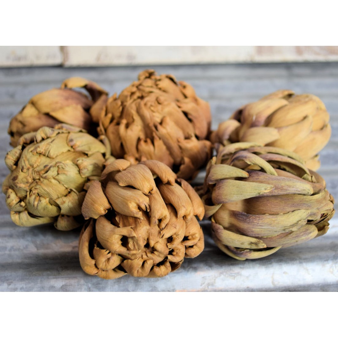 Dried Artichokes Artichoke Decor Dried Thistle