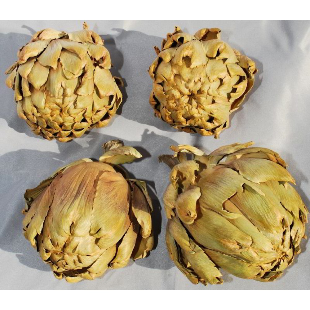 Dried Artichokes Large