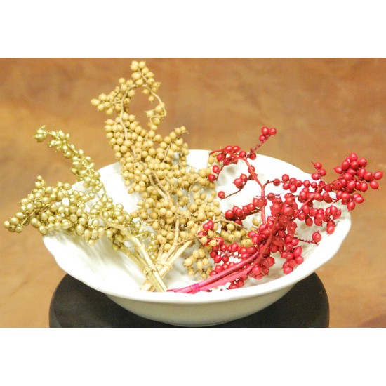 Dried Canella Berries - Canela Decorative Bunch