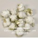 Cotton Bolls (Natural Cotton Balls) Cotton Bolls (Natural Cotton Balls)
