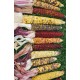 Decorative Indian Corn - Large Decorative Indian Corn - Large