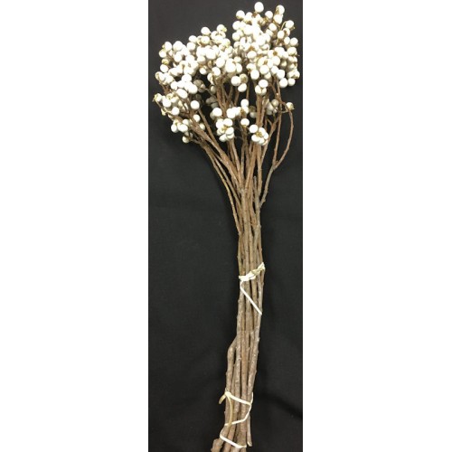 Dried Berries Dried Fruit Decorations Seed Decoration