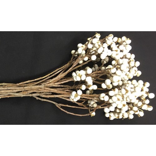 Dried Berries Dried Fruit Decorations Seed Decoration