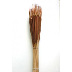Dried Pencil Cattails