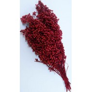 Dried Pepperberries - Dried Pepper Berries