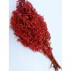 Dried Pepperberries - Dried Pepper Berries