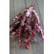 Preserved Eucalyptus Branches for sale - Red