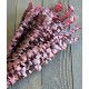 Preserved Eucalyptus Branches for sale - Red