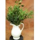 Preserved Seeded Eucalyptus Branches - Greens Preserved Seeded Eucalyptus Branches - Greens