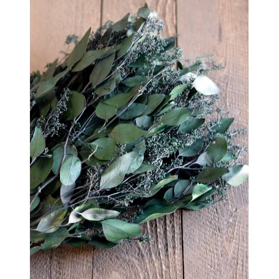 Preserved Seeded Eucalyptus Branches - Greens