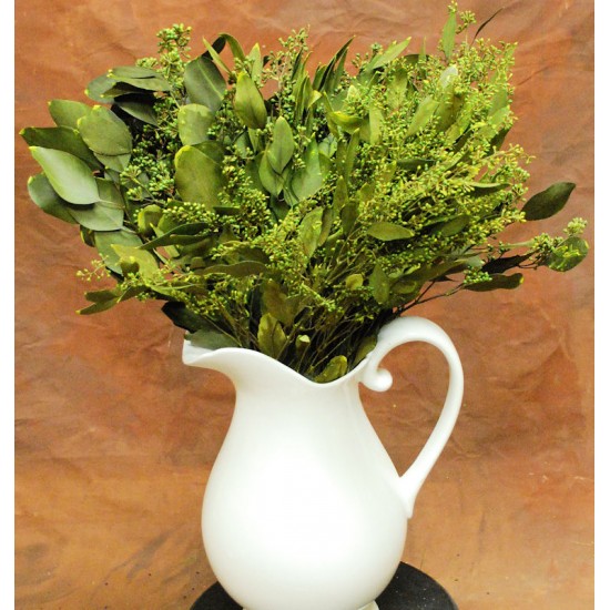 Preserved Seeded Eucalyptus Branches - Greens Preserved Seeded Eucalyptus Branches - Greens