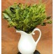 Preserved Seeded Eucalyptus Branches - Greens Preserved Seeded Eucalyptus Branches - Greens