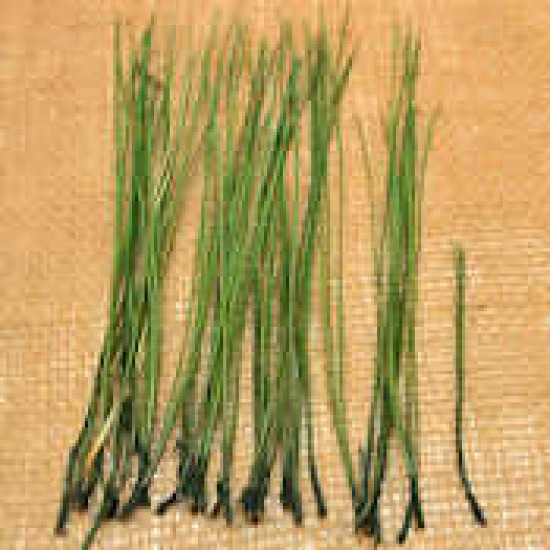 Long Pine Needles - Pine Straw Long Pine Needles - Pine Straw