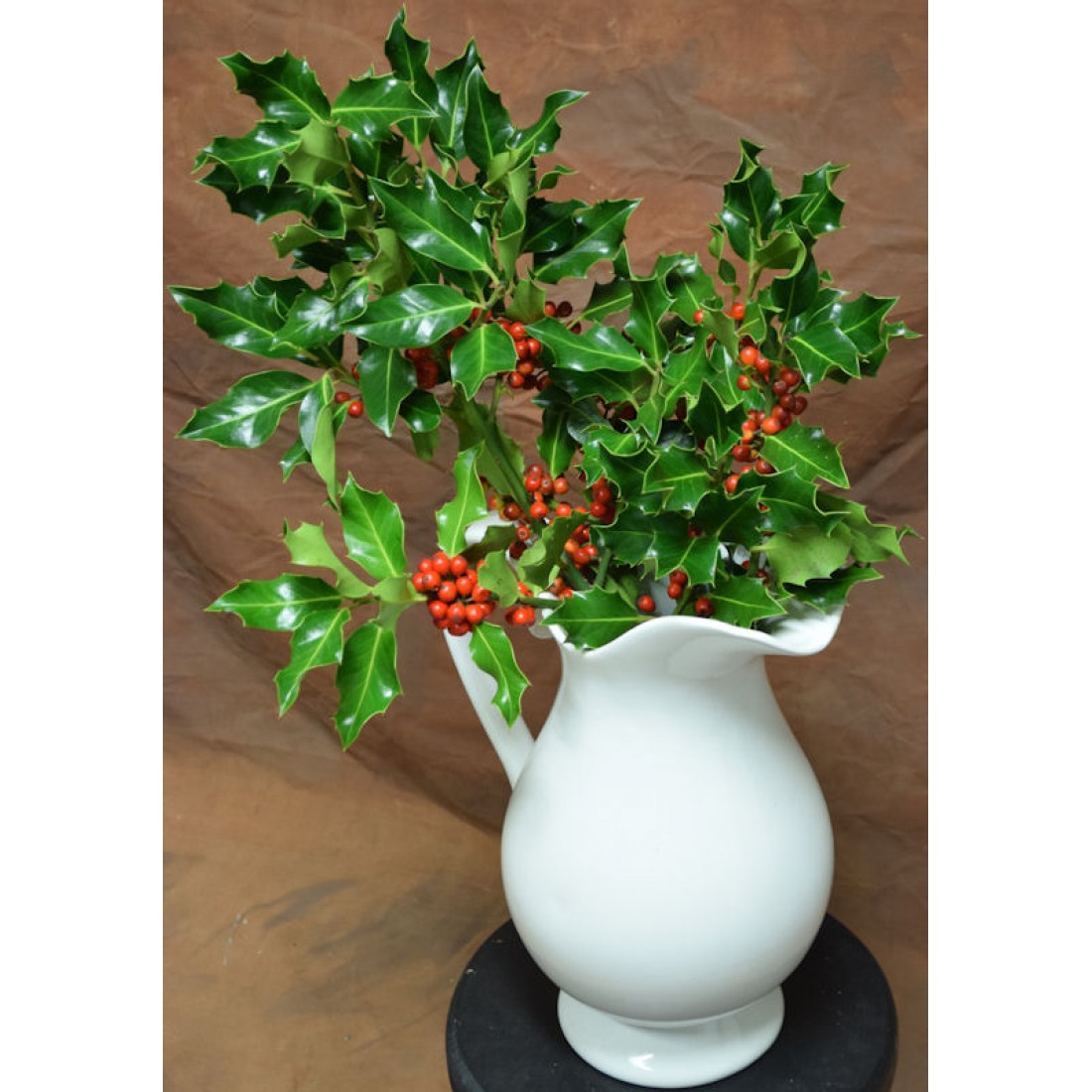 Preserved Fresh Holly Branches