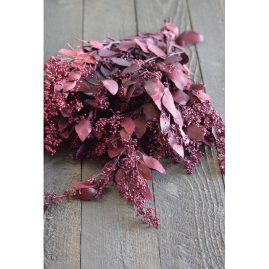 Preserved Seeded Eucalyptus Branches - Colors Preserved Seeded Eucalyptus Branches - Colors