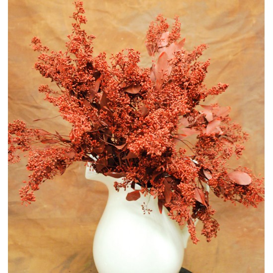 Preserved Seeded Eucalyptus Branches - Colors Preserved Seeded Eucalyptus Branches - Colors