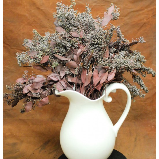 Preserved Seeded Eucalyptus Branches - Colors Preserved Seeded Eucalyptus Branches - Colors
