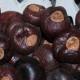 Horse Chestnuts - Large/Small Size Hourse Chest Nuts Horse Chestnuts - Large/Small Size Hourse Chest Nuts