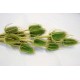 Dried thistle on Stems - Colors