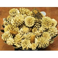 Bleach Assorted Pine cones