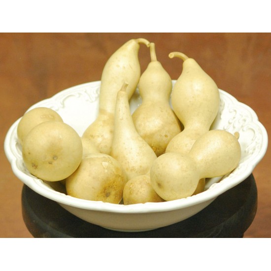 Dried Field Gourds - Small Size