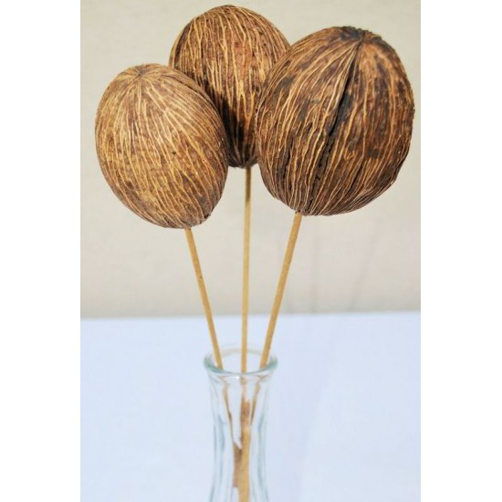 Dried Mintolla Balls (Pods)