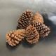 Dried Pinecones Medium Size 3-4 inch Dried Pinecones Medium Size 3-4 inch