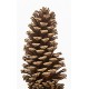 Dried Pinecones Medium Size 3-4 inch Dried Pinecones Medium Size 3-4 inch