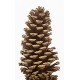 Dried Pinecones Medium Size 3-4 inch