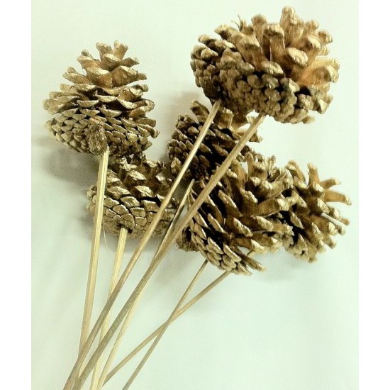 Austriaca Pine Cones - Gold Painted Holiday