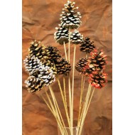 Painted, Tipped, Stemmed Pine Cones