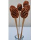 Alder Cones - Sabulosum Cone Stemmed