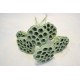 Seafoam Green Lotus Pods on Stems