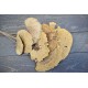 Dried Sponge Mushroom - Stemmed