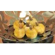 Dried Mini Corn Husk Wild Apples with Stem Dried Mini Corn Husk Wild Apples with Stem