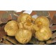 Dried Mini Corn Husk Wild Apples with Stem