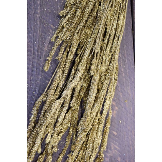 Dried African Bud Gold Painted (Limited Stock)