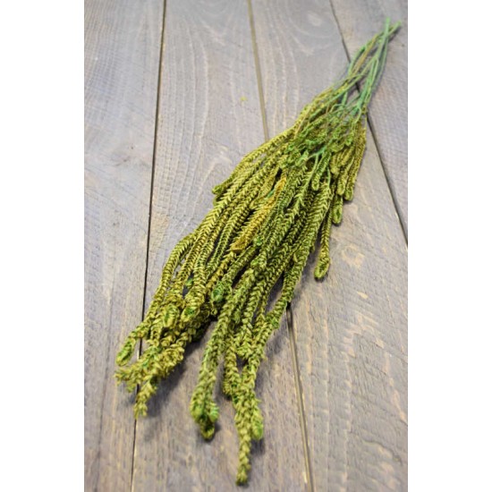 Dried African Bud Green (limited stock)